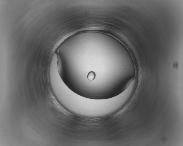 X0000112731417200909171117