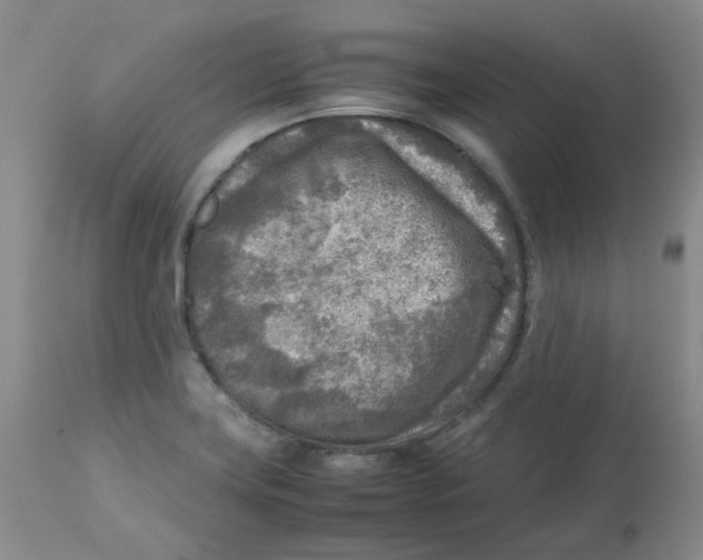 X0000112731419200909171117