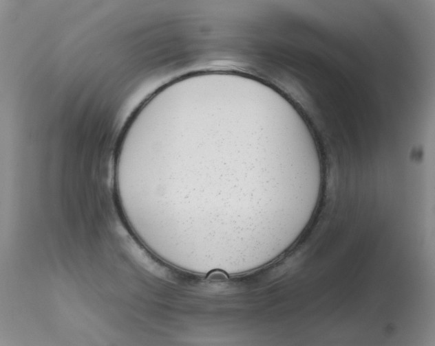 X0000112731420200909171117