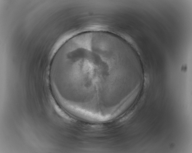 X0000112731421200909171117