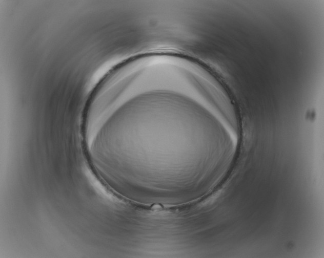 X0000112731422200909171117