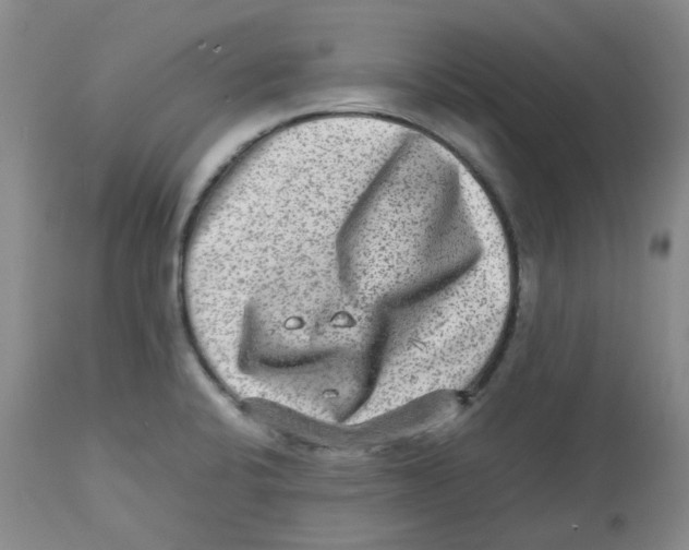 X0000112731424200909171117