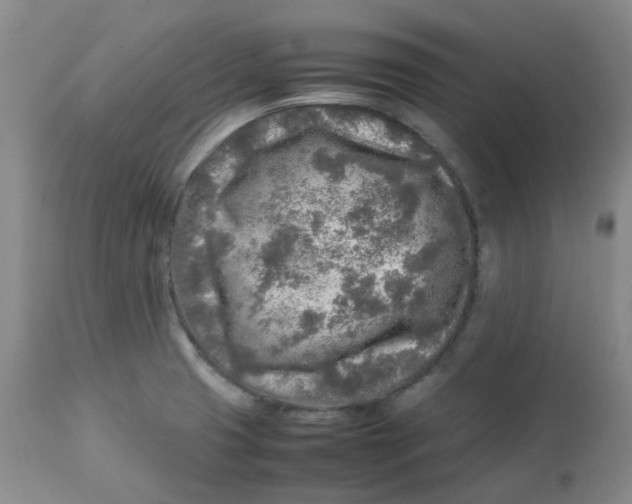 X0000112731425200909171117