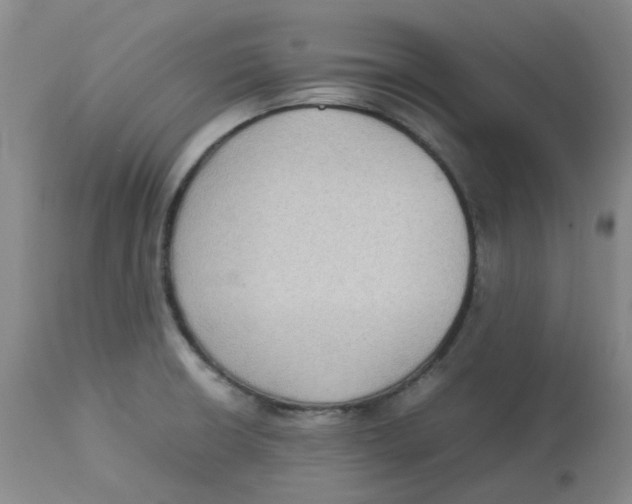 X0000112731426200909171117