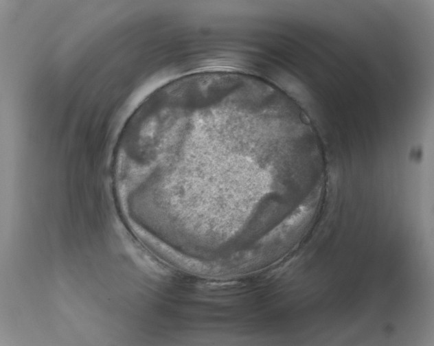 X0000112731427200909171117