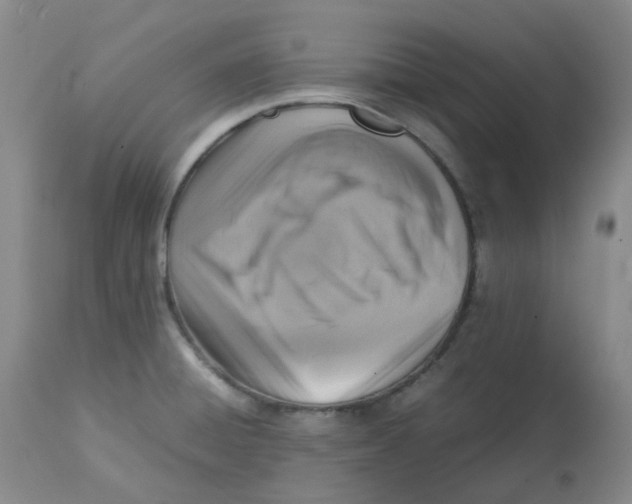 X0000112731428200909171117