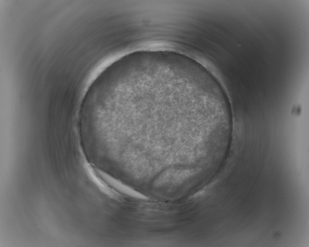 X0000112731429200909171117