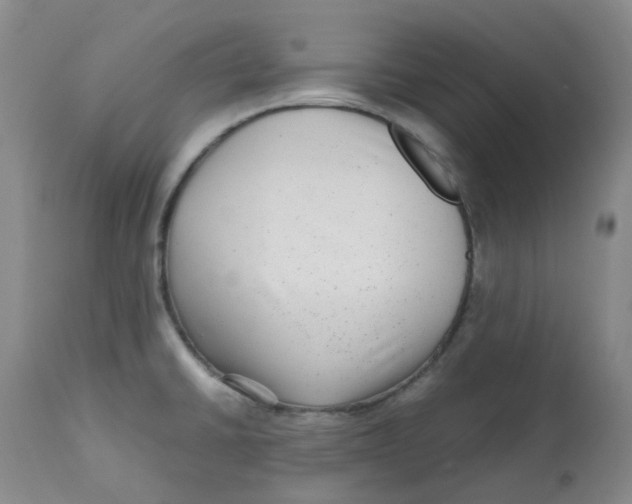 X0000112731430200909171117