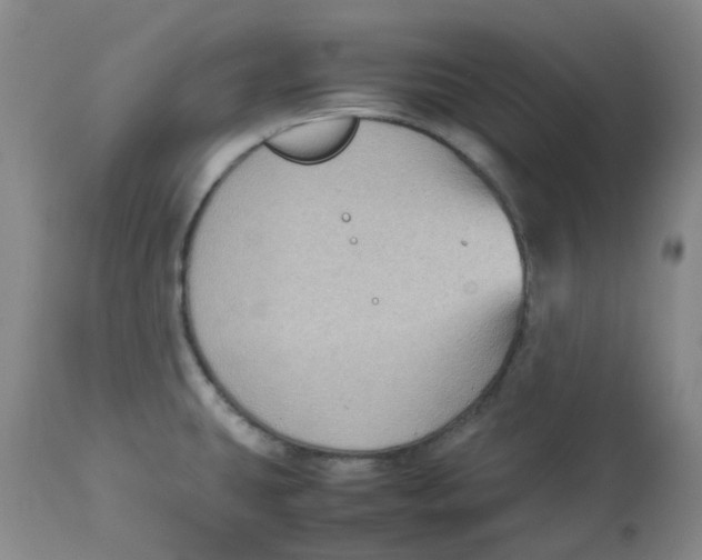 X0000112731431200909171117