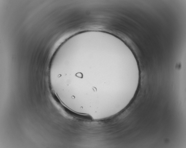 X0000112731432200909171117