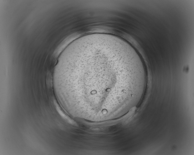 X0000112731433200909171117