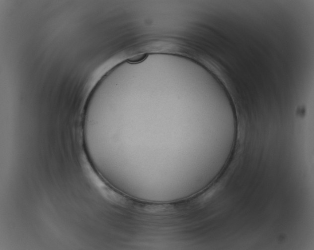 X0000112731434200909171117