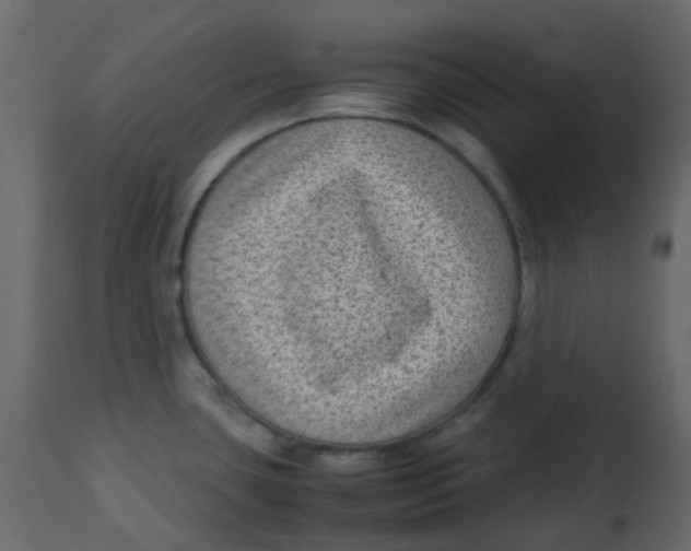 X0000112731435200909171117