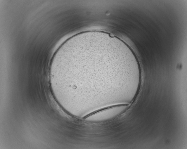 X0000112731436200909171117