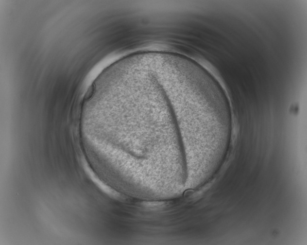 X0000112731437200909171117