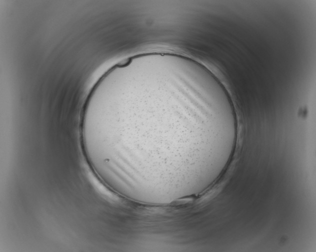 X0000112731438200909171117