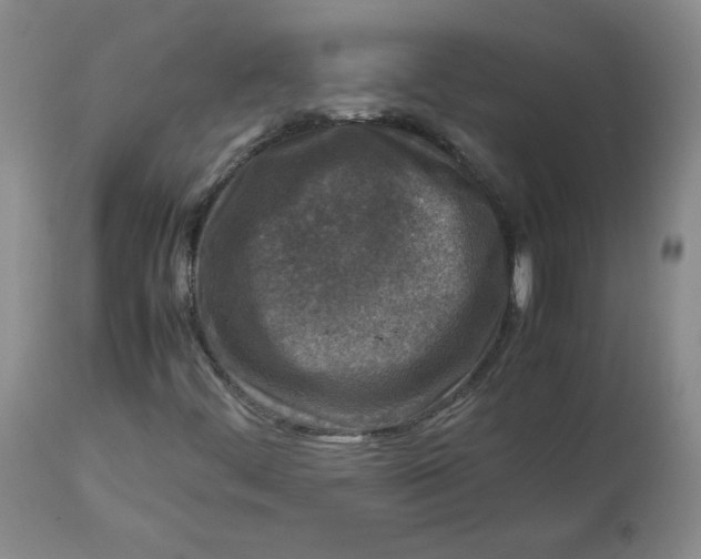 X0000112731444200909171116