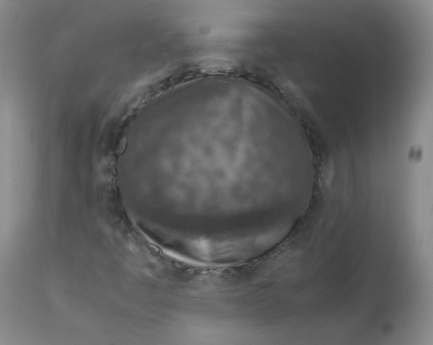 X0000112731445200909171116