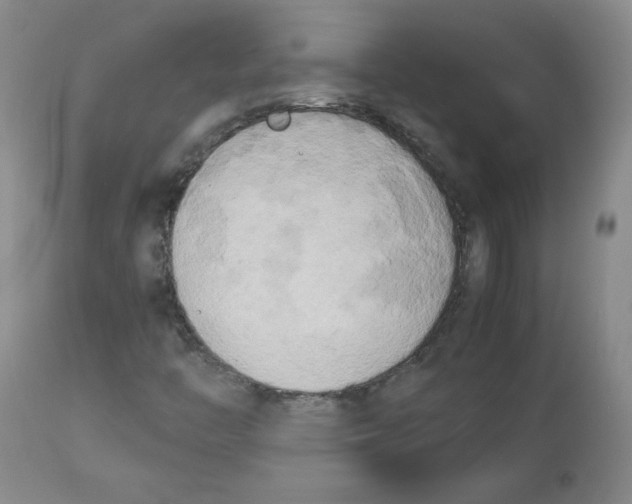 X0000112731446200909171116