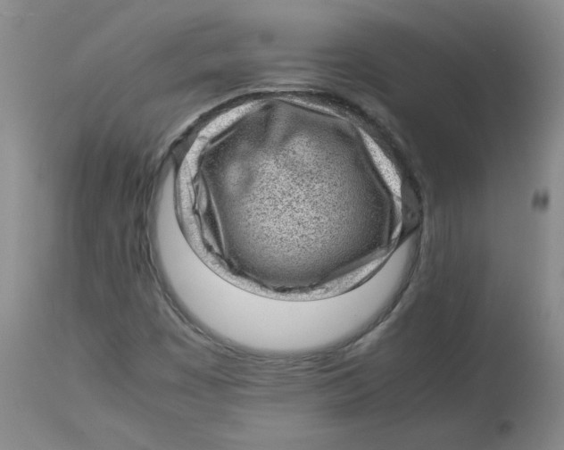 X0000112731449200909171116