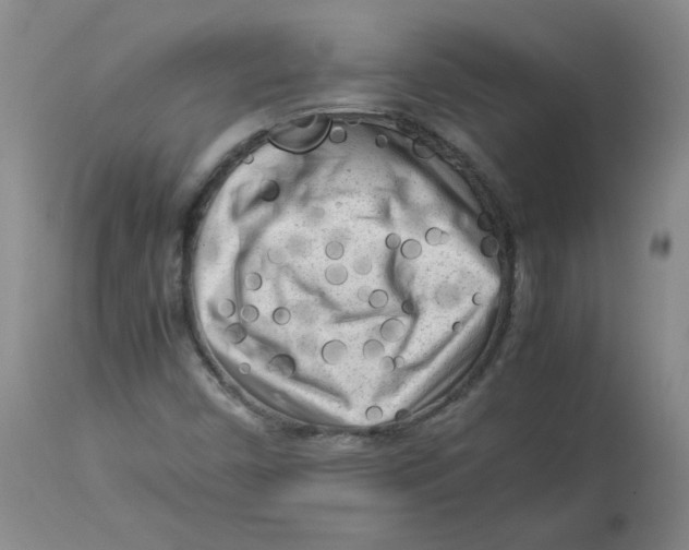 X0000112731450200909171116