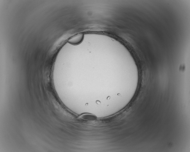 X0000112731451200909171116