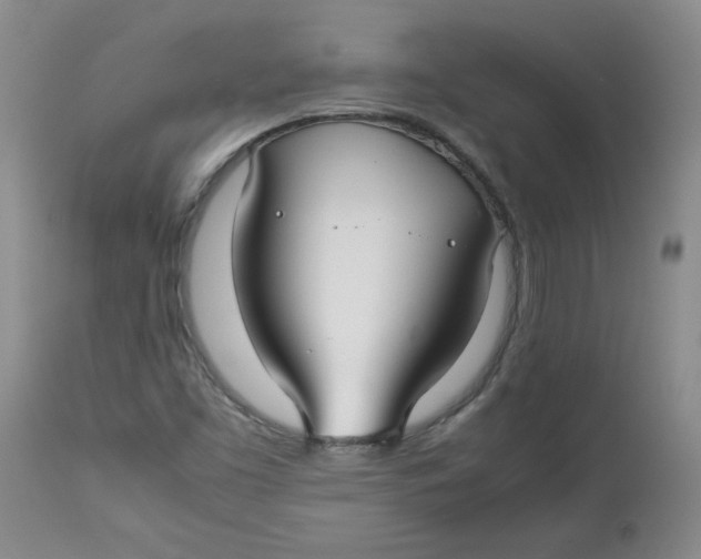 X0000112731453200909171116