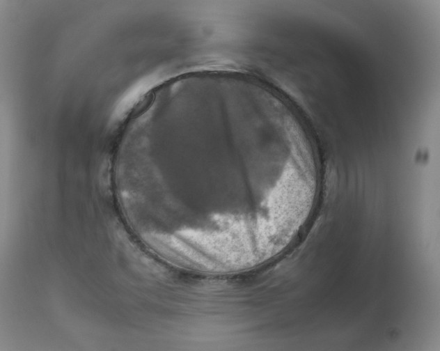 X0000112731455200909171116