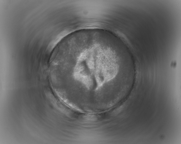 X0000112731457200909171116