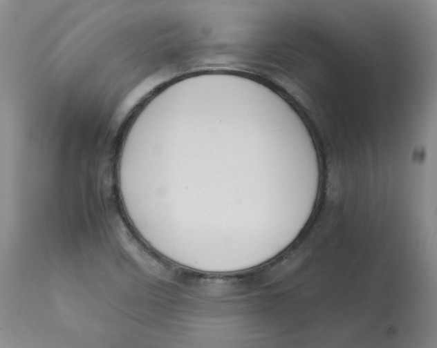 X0000112731458200909171116