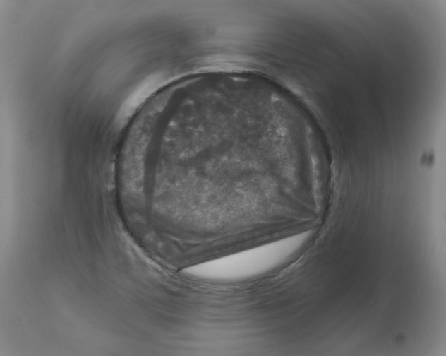 X0000112731459200909171116