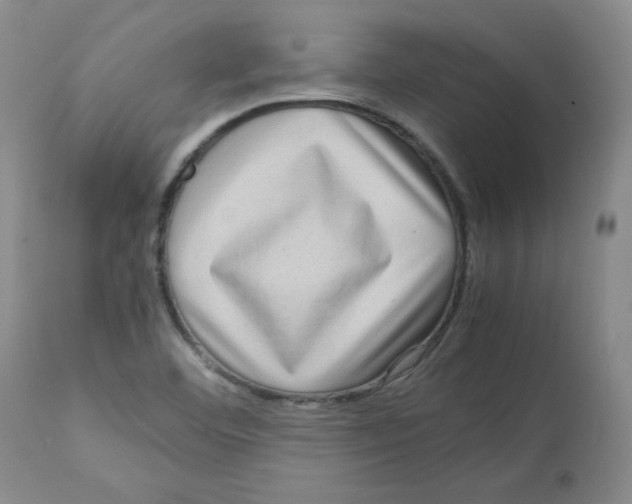 X0000112731460200909171116