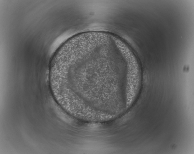 X0000112731461200909171116