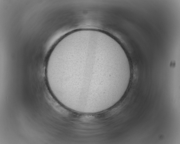 X0000112731462200909171116