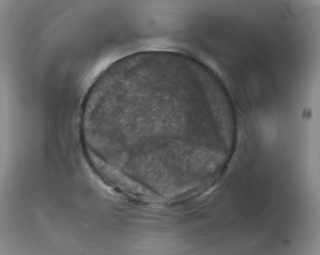 X0000112731463200909171116