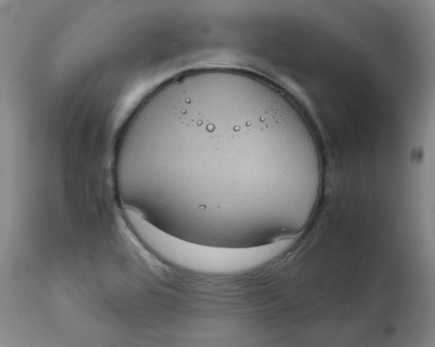 X0000112731464200909171116