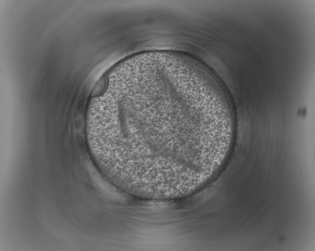 X0000112731465200909171116