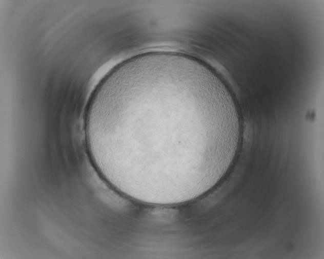 X0000112731466200909171116