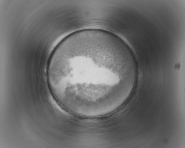 X0000112731468200909171116