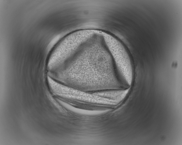 X0000112731469200909171116