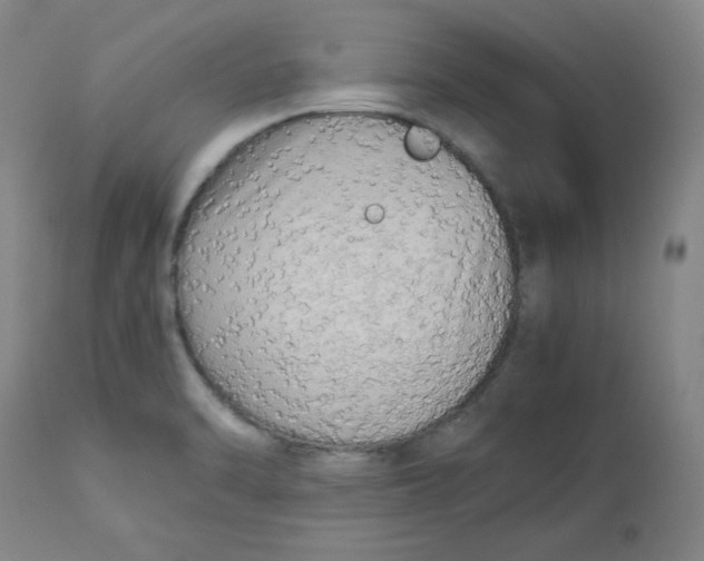 X0000112731470200909171116