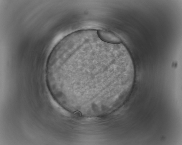 X0000112731471200909171116