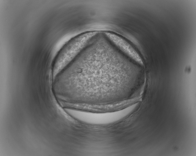 X0000112731472200909171116