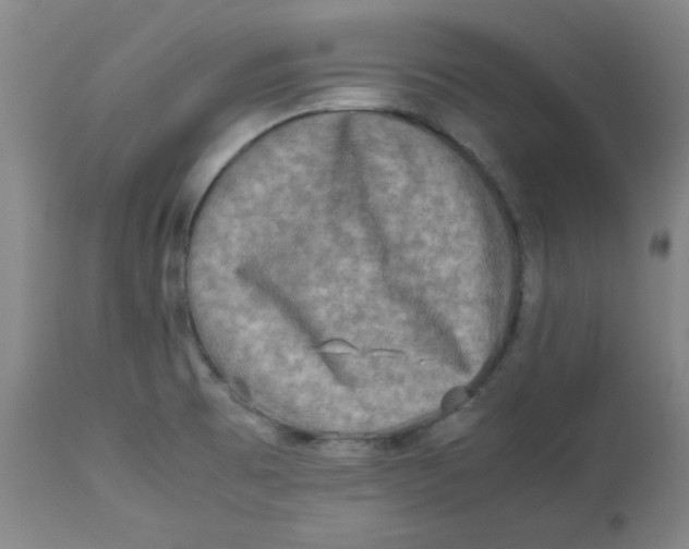 X0000112731473200909171116