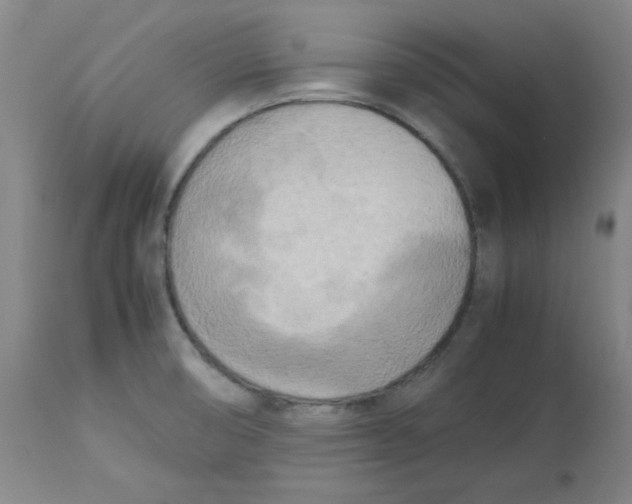 X0000112731474200909171116