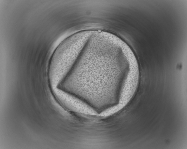 X0000112731475200909171116