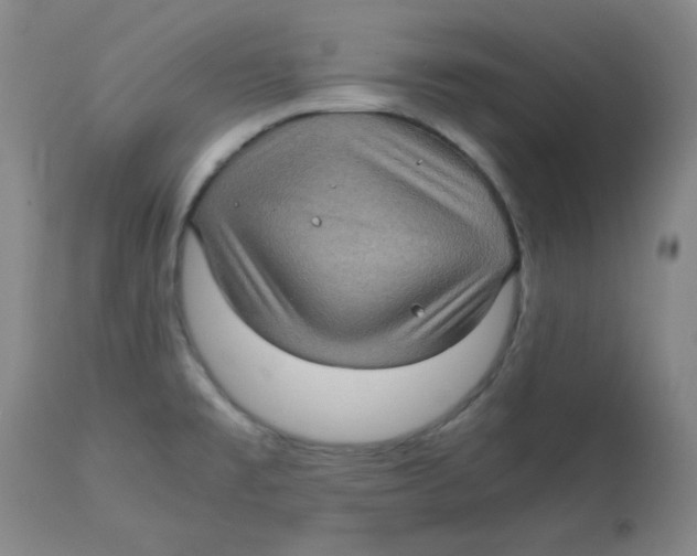 X0000112731477200909171116