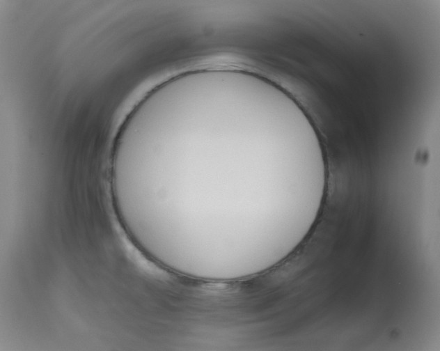 X0000112731478200909171116