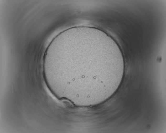 X0000112731479200909171116