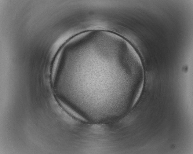 X0000112731480200909171116